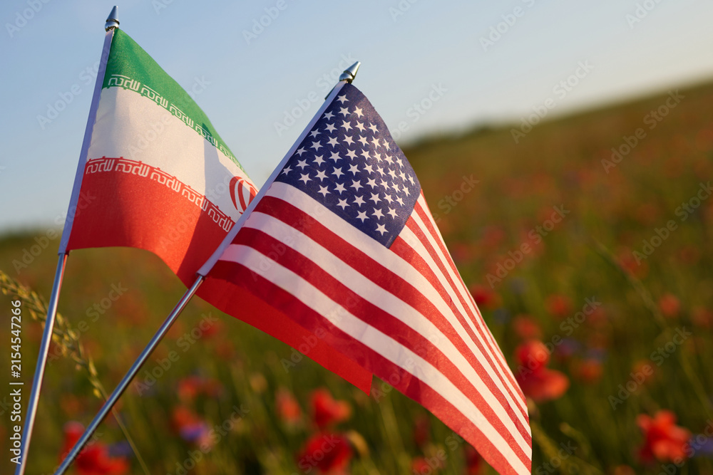 Obraz premium Iran and usa flags representing international diplomacy in meadow