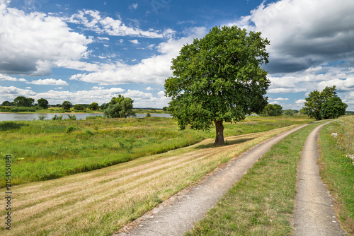 Deichkilometer 65 Elbe Brandenburg