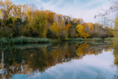 Autumn forest reflection in a calm lake