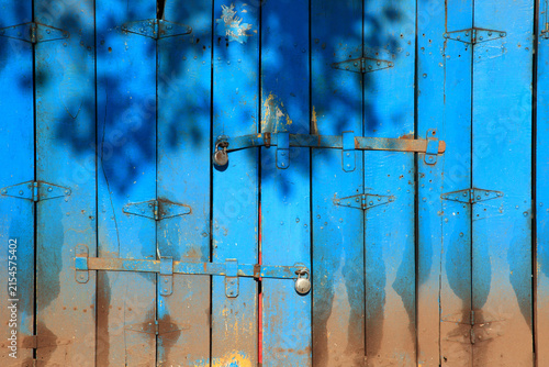 Shadows of leaves cast across old blue wooden folding doors of a closed shop, creating an abstract pattern of light and shade