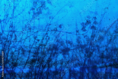 Abstract shadow of a bush cast on a blue textured background, creating a minimalist natural pattern with strong contrast