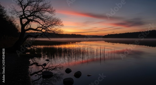 Silhouette of a bare tree beside a lake at sunset.