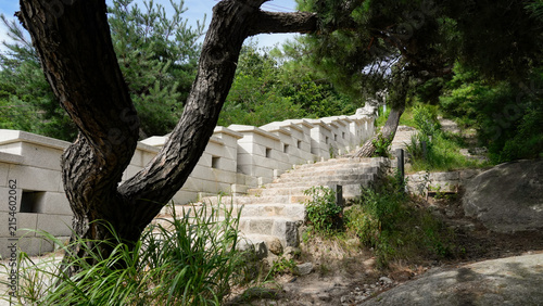Low angle view of a traditional stone fortress wall trail with green pine trees in Seoul
