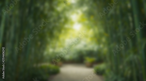 Blurred Bamboo Forest Path. (1)