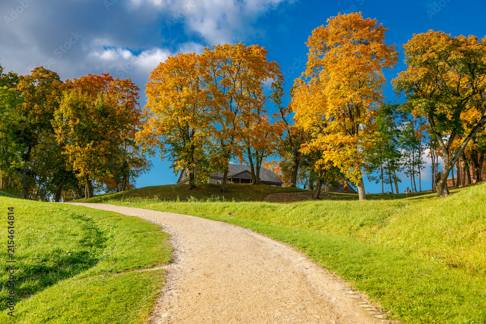 Naklejka premium Gravel path leading to golden trees and wooden house in autumn