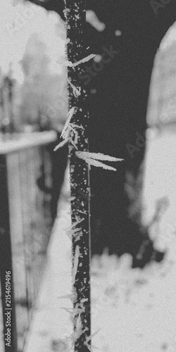 Ice Crystals Growing on Metal Fence Rod in Snowy Winter Landscape