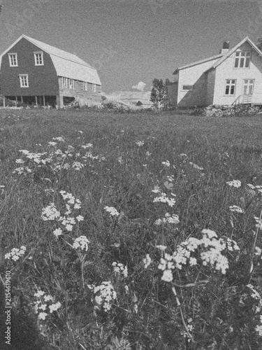 Rural Houses and Wildflower Meadow in Grainy Black and White Countryside Landscape