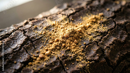 Reishi Mushroom Powder on Cacao Bark Macro