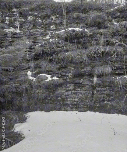 Halftone Rocky Terrain with Vegetation and Snow in Vintage Printed Monochrome Style