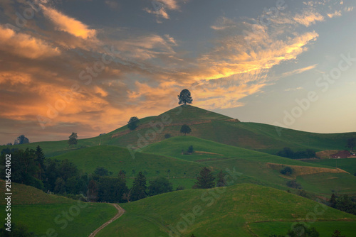 Hirzel is a former municipality in the Horgen district of the Zurich canton in Switzerland.