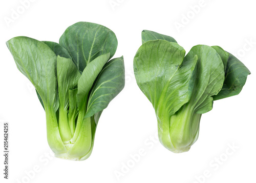 fresh baby bok choy isolated on a transparent background