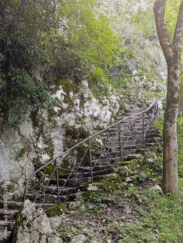 Obraz na płótnie Narrow stone steps winding up a forest slope with a metal railing, outdoor trail access in a wooded setting, hiking path, forest steps, trailway