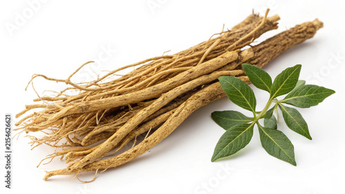 Boerhaavia Diffusa Medicinal Herb Roots Isolated on White Background