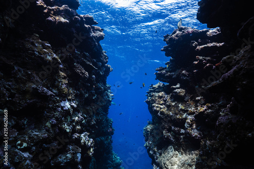 Underwater canyon between tropical coral reefs in deep blue ocean