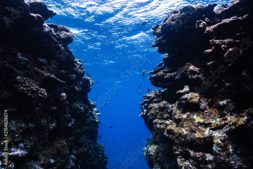 Blue ocean seen through a narrow underwater coral canyon