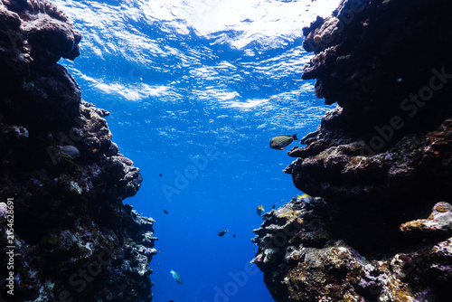 Dramatic underwater passage through a tropical coral reef