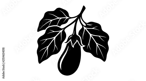 Фотография Black and white illustration of an eggplant on a branch with leaves, isolated on
