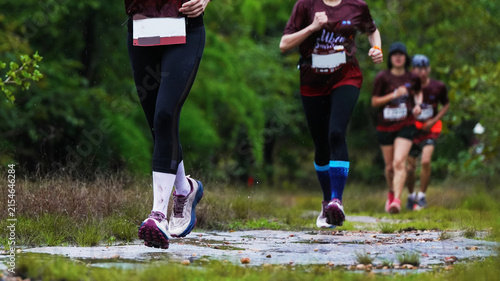 Fotografie Trail runners racing together on a wet forest path during a rainy outdoor endura
