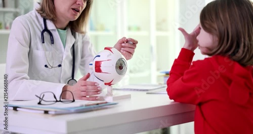 In a bright clinic, a doctor engages a young patient with a fun medical model, sparking curiosity and laughter. The child shows eagerness to learn about health.