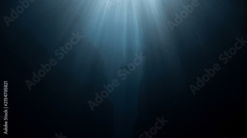 Obraz na plátně Pale ethereal light beams descending into the dark depths of the ocean with a so