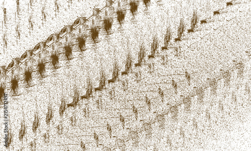 Abstract grunge texture with dark brown distressed pattern on a transparent background