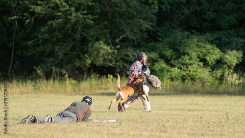 Dog training
