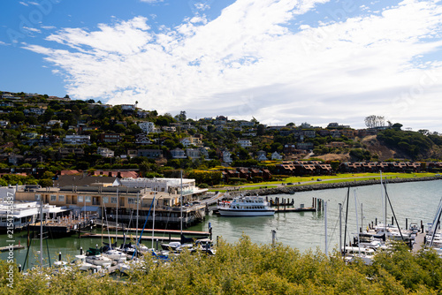 Bild auf Leinwand Scenic view of a marina with sailboats and a hillside town in Belvedere Californ