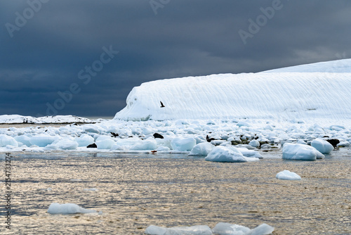View of icebergs and dark sky over a cold ocean at Antarctica. Antarctic expedition
