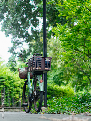 Fotografie Vintage Bicycle with Wire Baskets Parked Under Lush Green Trees Outdoor