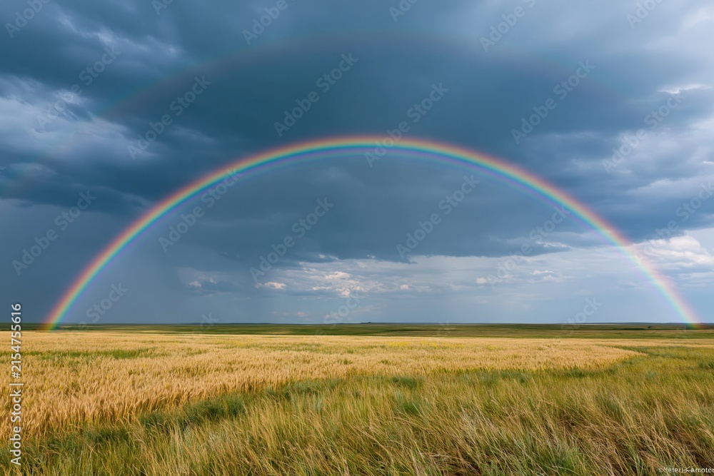 Obraz premium The Rainbow Over Expansive Prairie Field After a Stormy Sky