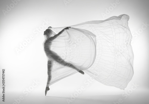 Artistic Black and White Silhouette of a Graceful Dancer Wrapped in Flowing Translucent Fabric Against a White Background
