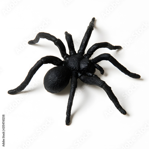 A realistic black plastic spider with detailed texture, perfect for Halloween decorations or playful pranks.