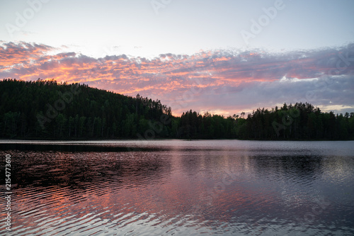Small lake with green trees shortly after sunset