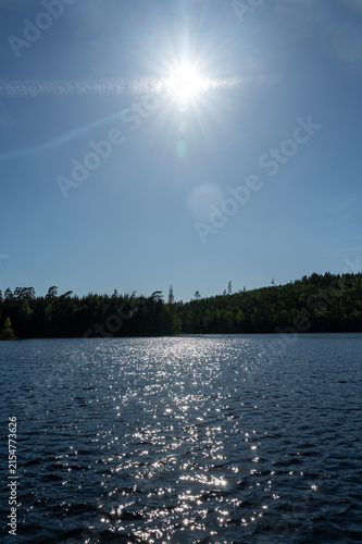 Small lake with green trees, sun  and blue sky