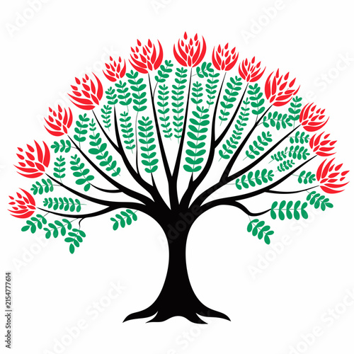 Flamboyant tree, Delonix regia, royal poinciana, flame of the forest, peacock flower, blossoming isolated tropical flora, exotic tree vector illustration

