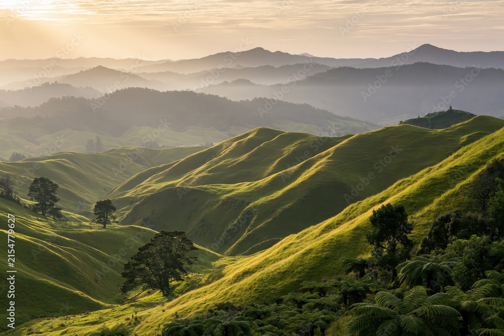 Obraz premium The Rolling Green Hills at Sunrise Over Misty Valley Landscape