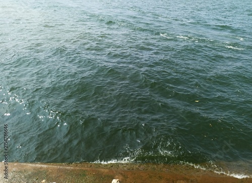 lake water with ripples near a concrete embankment, scattered leaves, small rocks, and green plants with purple flowers at the edge, capturing the natural meeting point of land and water.