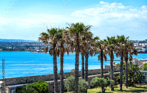 tall palm trees on the sun-drenched Mediterranean coast at Syracuse, beneath a blue sky