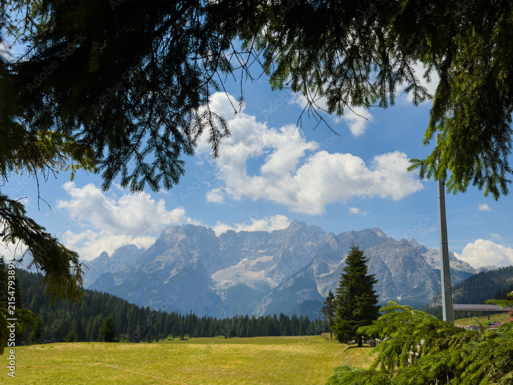 Obraz premium Idyllic mountain landscape in the Alps with blooming meadows in springtime