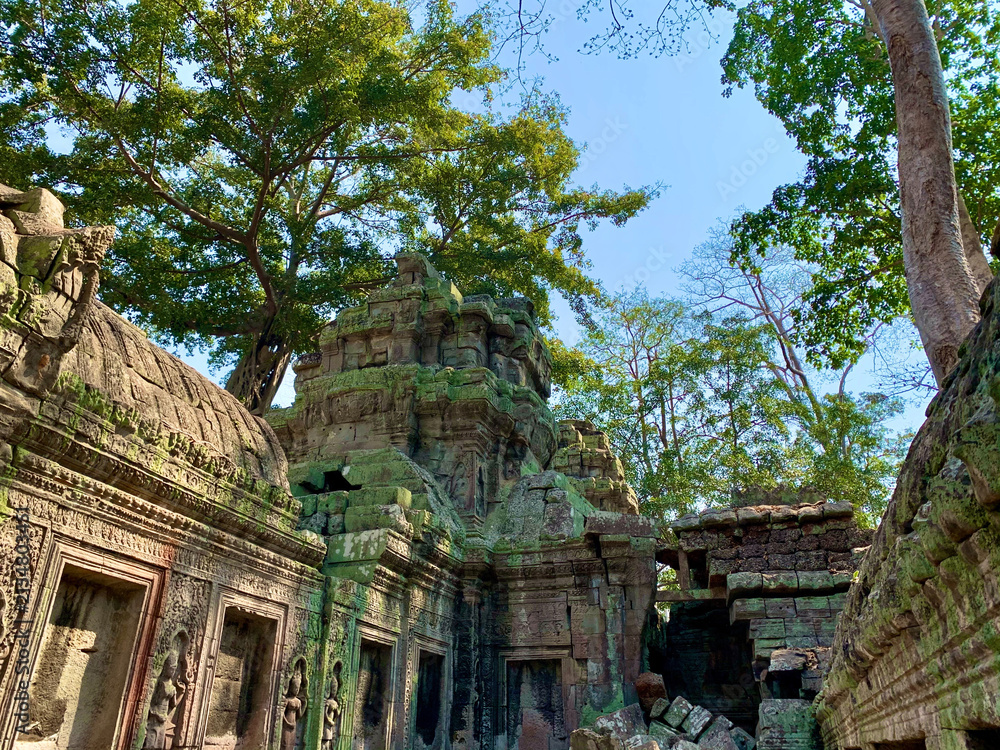 Fototapeta premium Siem Reap, Cambodia - February 20, 2020: Ancient temple engulfed by tree roots in Cambodia