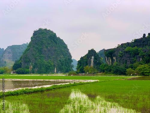 Limestone Mountain Beside a Rice Paddy in Vietnam