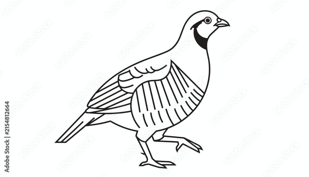 Fototapeta premium Detailed black and white line drawing of a partridge or chukar bird standing proudly on a clean white background.