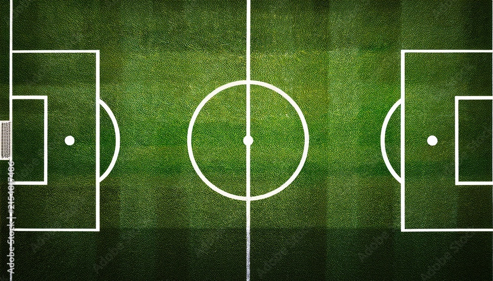 Fototapeta premium top view soccer field background with detailed grass texture and white markings