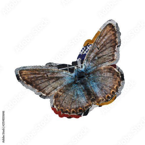 Template Halftone Butterfly Collage Art Element Isolated on a Transparent Background