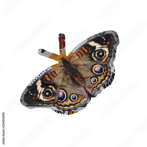 Template Halftone Butterfly Collage Art Element Isolated on a Transparent Background