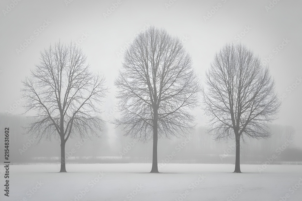 Fototapeta premium Three bare winter trees standing in row on snow covered field foggy white background minimalist landscape scenery
