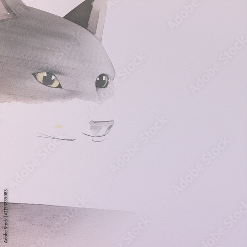 ねこ