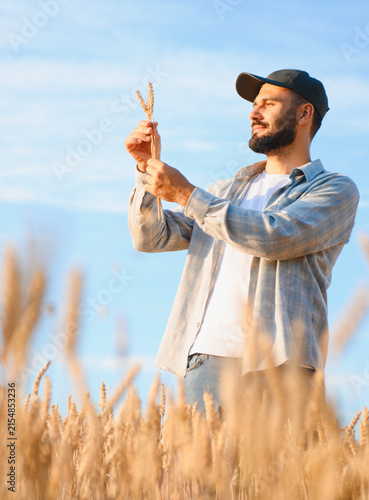 Konstfotografi Agronomist examining wheat crop in a field