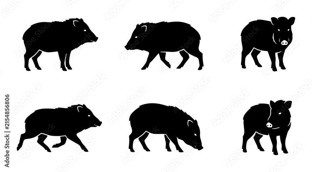 Naklejka premium Wild Boar Silhouette Set, Javelina Vector Icons, Forest Animal Graphics, Swine Mammal Illustrations, Hunting Wildlife Collection