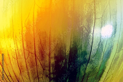 Abstract Yellow and Green Onion Skin Texture Close Up
